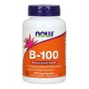 NOW Foods Vitamin B-100 - 100 vcaps