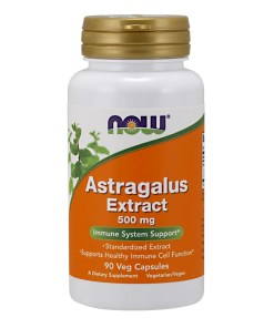 Astragalus Extract, 500mg - 90 vcaps