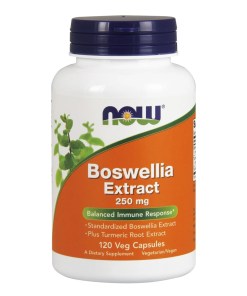 Boswellia Extract Plus Turmeric Root Extract, 250mg - 120 vcaps