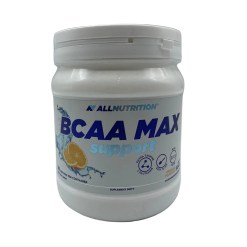 BCAA Max Support, Orange - 500 grams