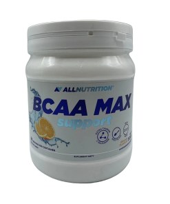 BCAA Max Support, Orange - 500 grams