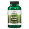 Swanson Full Spectrum Fennel Seed, 480mg - 100 caps