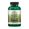 Swanson Full-Spectrum Tribulus Fruit, 500mg - 90 caps