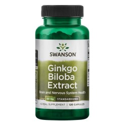 Ginkgo Biloba Extract, 60mg - 120 caps