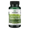Swanson Full Spectrum Gotu Kola, 435mg - 60 caps