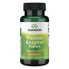Swanson Papaya Enzyme Papain, 100mg - 90 vcaps