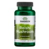Reishi Mushroom, 600mg - 60 caps