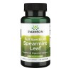 Swanson Full Spectrum Spearmint Leaf, 400mg - 60 caps