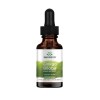Ginkgo Biloba Liquid Extract, 250mg - 29.6 ml.