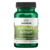 Swanson Artichoke Extract, 250mg - 60 caps