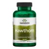 Swanson Hawthorn Extract, 500mg - 120 caps