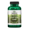 Full Spectrum Uva Ursi Leaf, 450mg - 100 caps