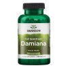 Swanson Damiana, 510mg - 100 caps