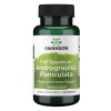 Full Spectrum Andrographis Paniculata, 400mg - 60 caps