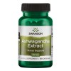 Swanson Ashwagandha Extract, 450mg - 60 caps