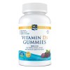 Vitamin D3 Gummies, 1000 IU Wild Berry - 120 gummies