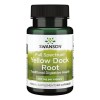 Swanson Full Spectrum Yellow Dock Root, 400mg - 60 caps