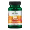 Swanson B6 Pyridoxine, 100mg - 100 caps