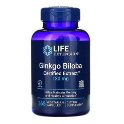 Ginkgo Biloba, Certified Extract, 120mg - 365 vcaps