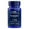 Forskolin, 10mg - 60 vcaps