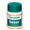 Gasex - 100 tablets