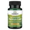 Swanson Full Spectrum Papaya Leaf, 400mg - 60 caps