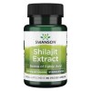 Swanson Shilajit Extract, 400mg - 60 vcaps