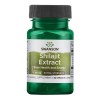 Swanson Shilajit Extract, 100mg - 30 vcaps