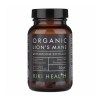 Lion's Mane Extract - 50 grams