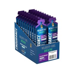 Applied Nutrition Endurance Breathe Isotonic Energy Gel, Blackcurrant - 20 x 60g