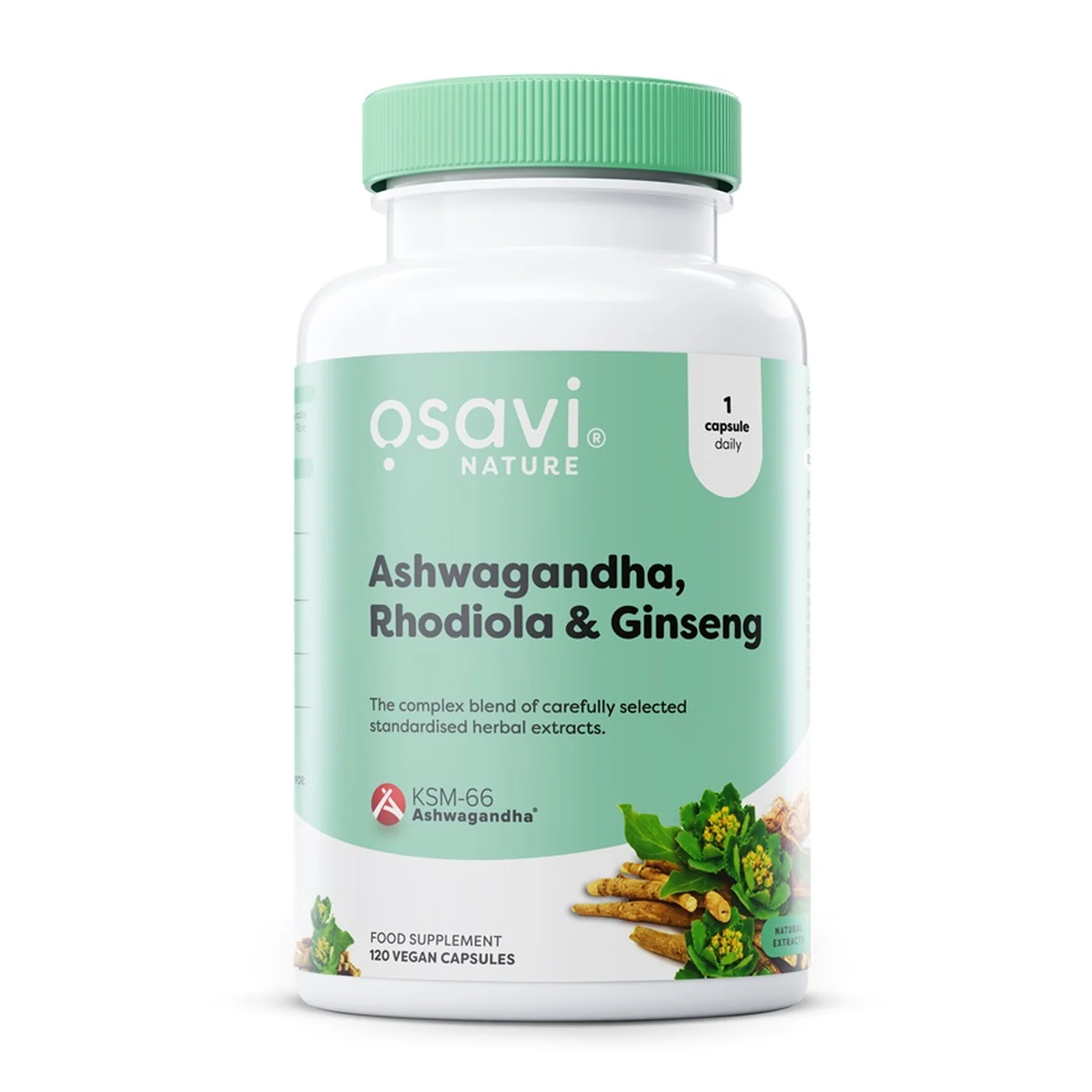 Ashwagandha + Rhodiola & Ginseng - 120 vegan caps