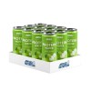 Sparkling Protein Water, Apple Burst - 12 x 330 ml.