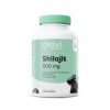 Shilajit, 500mg - 120 vegan caps