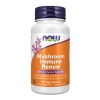 NOW Foods Mushroom Immune Renew - 90 vcaps