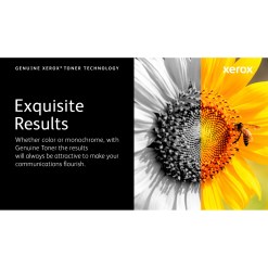 Xerox Genuine ® VersaLink® C620 Color Printer​/​C625 Color Multifunction Printer Cyan Standard capacity Toner Cartridge (6000 Pages) - 006R04617 - image 7