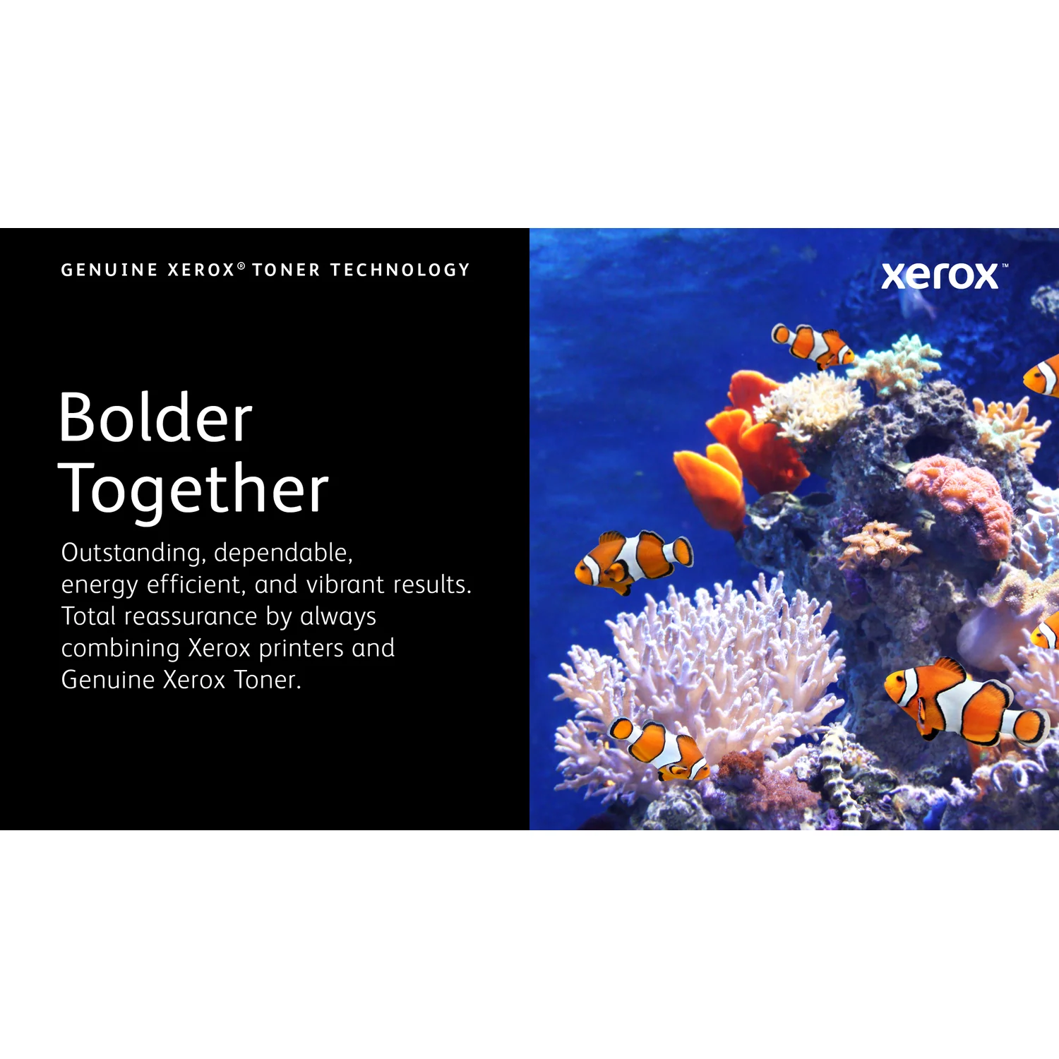 Xerox 008R13326 toner cartridge 1 pc(s) Original Black - image 2