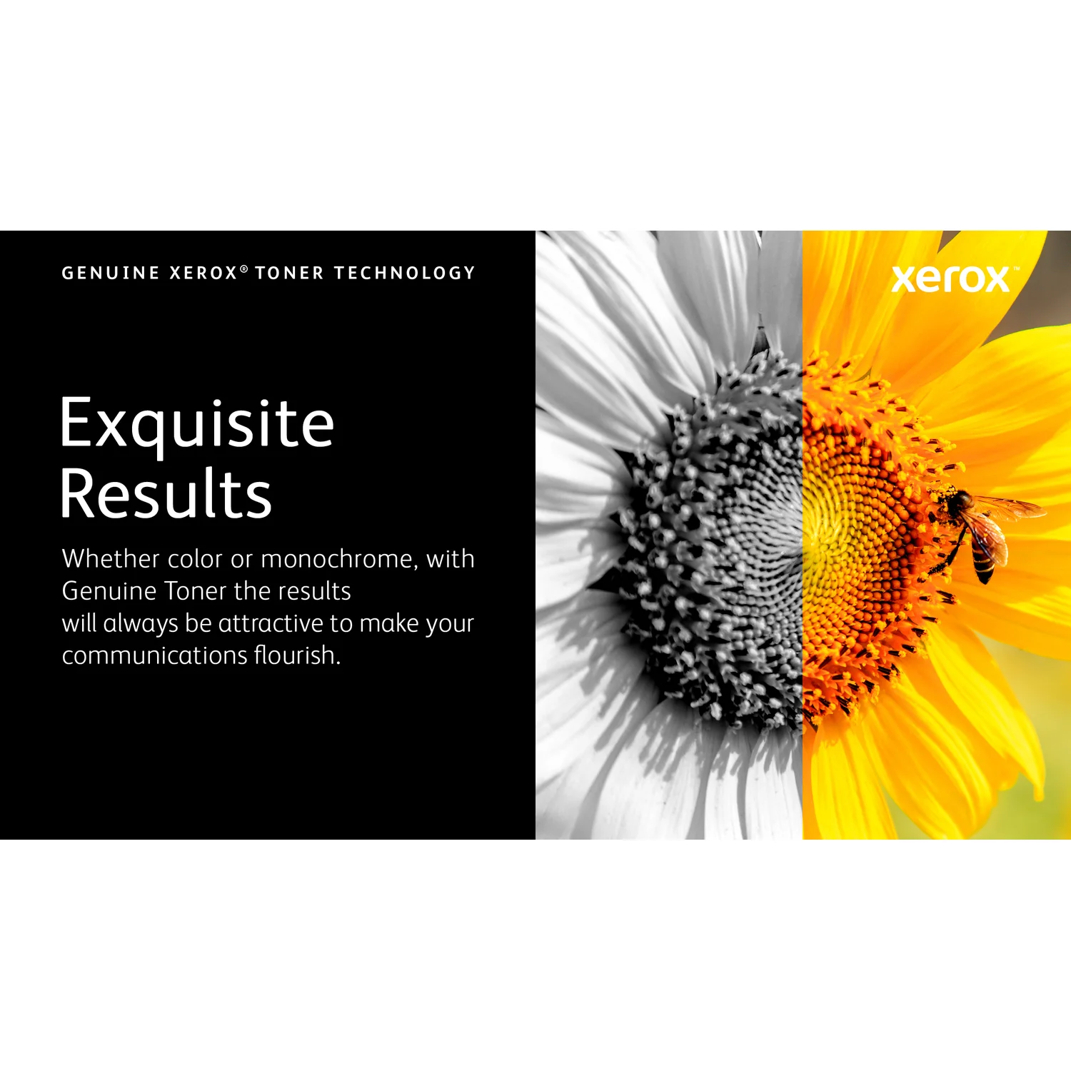 Xerox 008R13326 toner cartridge 1 pc(s) Original Black - image 7