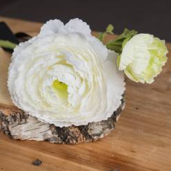 White Ranunculus Spray - image 3