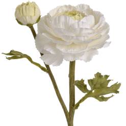 White Ranunculus Spray - image 4