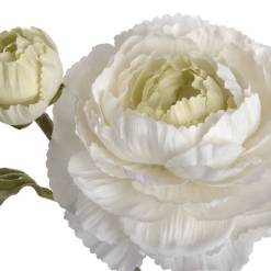 White Ranunculus Spray - image 5
