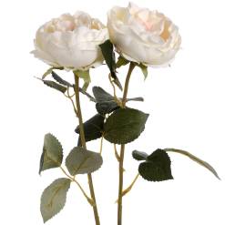 Blush Garden Rose - image 4