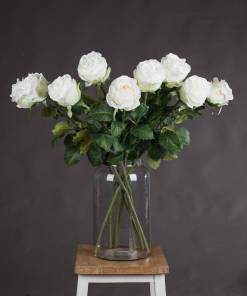 Traditional White Rose