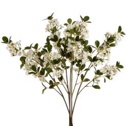 White Spring Mock Orange Flower - image 4