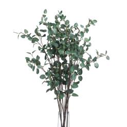 Tall Eucalyptus Stem - image 4