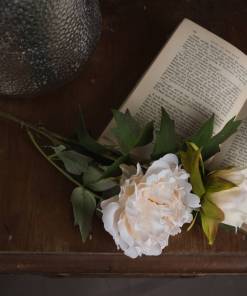 White Fashion Peony