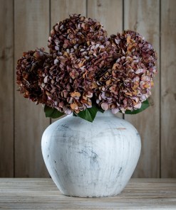Autumn Coffee Hydrangea