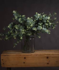 Eucalyptus Spray