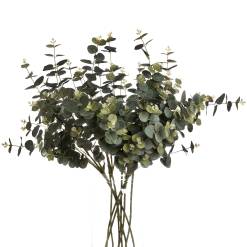 Eucalyptus Spray - image 4