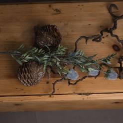 Eryngium Thistle