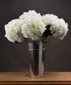 Oversized White Hydrangea